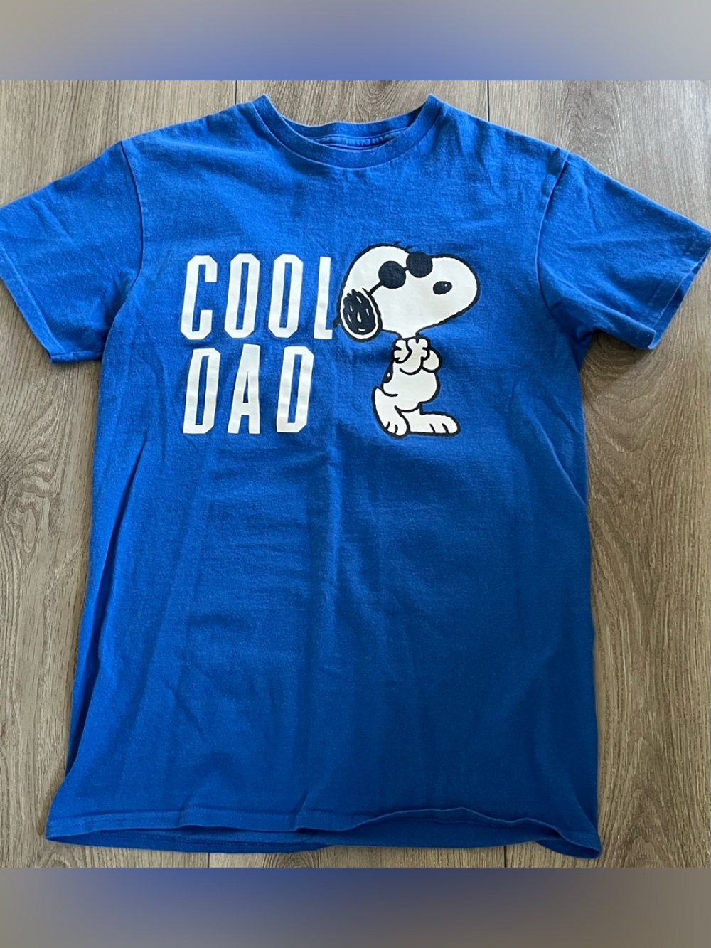 Peanuts Snoopy T Shirt Mens Small Blue Cool Dad Joe Cool Graphic Fathers Day